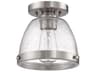 Lodie 1-Light Brushed Polished Nickel Glass Bell Flush Mount