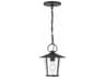Andover 1 - Light Outdoor Hanging Light with Clear Glass Shade