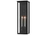 Tanzy 2 - Light Glass Outdoor Wall Light