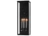 Tanzy 3 - Light Glass Outdoor Wall Light
