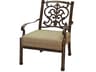 Santa Barbara Antique Bronze Cast Aluminum Club Chair