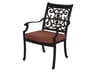 St. Cruz Cast Aluminum Antique Bronze Dining Arm Chair