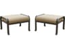Elisabeth Cast Aluminum Ottoman with Cushion Set of 2