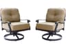 Elisabeth Cast Aluminum Swivel Rocker Club Chair with Cushions Set of 2