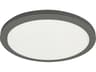 Franchesa 1-Light Matte Black Round Flush Mount
