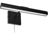 Leonardo 2-Light Matte Black Picture Light