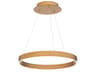 Sirius 1-Light Aged Brass Round Pendant