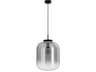 Bulciago 1-Light Black Pendant