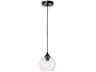 Cashel 1-Light Black Glass Globe Mini Pendant