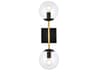 Neri 2-Light Black And Brass Clear Glass Wall Sconce