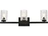 Cassie 3-Light Black And Clear Shade Glass Vanity Light