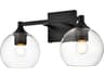 Foster 2-Light Black Glass Vanity Light