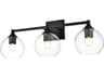 Foster 3-Light Black Glass Vanity Light