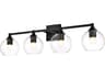 Foster 4-Light Black Clear Glass Vanity Light