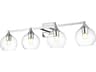 Foster 4-Light Chrome Glass Vanity Light