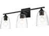 Harris 3-Light Black Glass Vanity Light