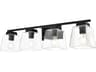 Merrick 4-Light Black Glass Vanity Light