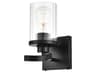 Saanvi 1-Light Black Glass Wall Sconce