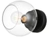 Rogelio 1-Light Black Glass Wall Sconce