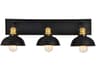 Anders 3-Light Black Brass Glass Vanity Light