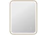 Harmoni Satin Gold Rectangular Wall Mirror