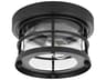 Carla 1-Light Outdoor Ceiling Light