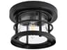 Carla 1-Light Outdoor Ceiling Light