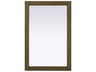 Norah Hazel Oak Rectangular Wall Mirror