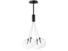Burst 4-Light Black Globe Pendant