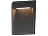 Steppes 1-Light Outdoor Wall Light