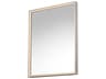 Bevel Satin Nickel Rectangular Wall Mirror