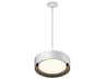 Echo 1-Light White Black LED Drum Pendant