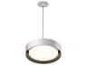 Echo 1-Light White Black LED Drum Pendant