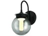 Caswell 1-Light Outdoor Wall Light