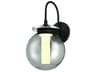 Caswell 1-Light Outdoor Wall Light