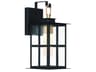 Greyson 1-Light Outdoor Wall Light