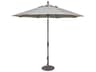 Special Order Sunbrella Market Aluminum 9 Foot Octagon Collar Tilt Crank Lift Outdoor Patio Umbrella