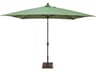 Special Order Sunbrella Market Aluminum 8 x 10 Foot Rectangular Crank Lift Auto Tilt Outdoor Patio Umbrella