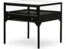 Belmont Shadow Box End Table Modern Glass and Metal