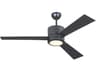 Vision 52" Ceiling Fan