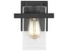 Mitte 1-Light Midnight Black Glass Wall Sconce
