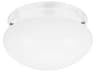 Webster 1-Light White Glass Flush Mount