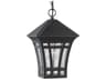 Herrington 1 - Light Outdoor Hanging Light