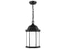 Sevier 1 - Light Outdoor Hanging Light
