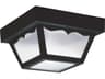 1 - Light Outdoor Ceiling Light