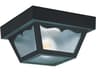 2 - Light Outdoor Ceiling Light