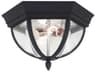 Wynfield 2 - Light Outdoor Ceiling Light