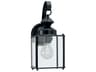 Jamestowne 1-Light Outdoor Wall Light