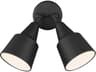 Flood Light 2-Light Outdoor Wall