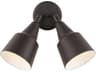 Flood Light 2-Light Outdoor Wall
